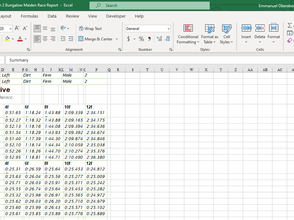 Page Three & Four converted in excel format